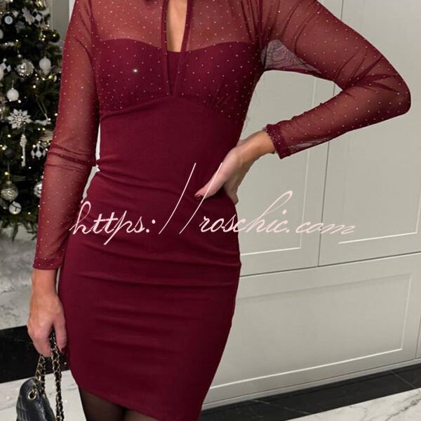 Sexy Energy Mesh Glitter Fabric Cutout Shirt Neck Long Sleeve Stretch Mini Dress