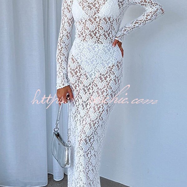 Solid Color Round Neck Long Sleeve Sexy Lace Slim Fit Cover-up Maxi Dress